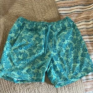 J Crew Pineapple Swim Trunks